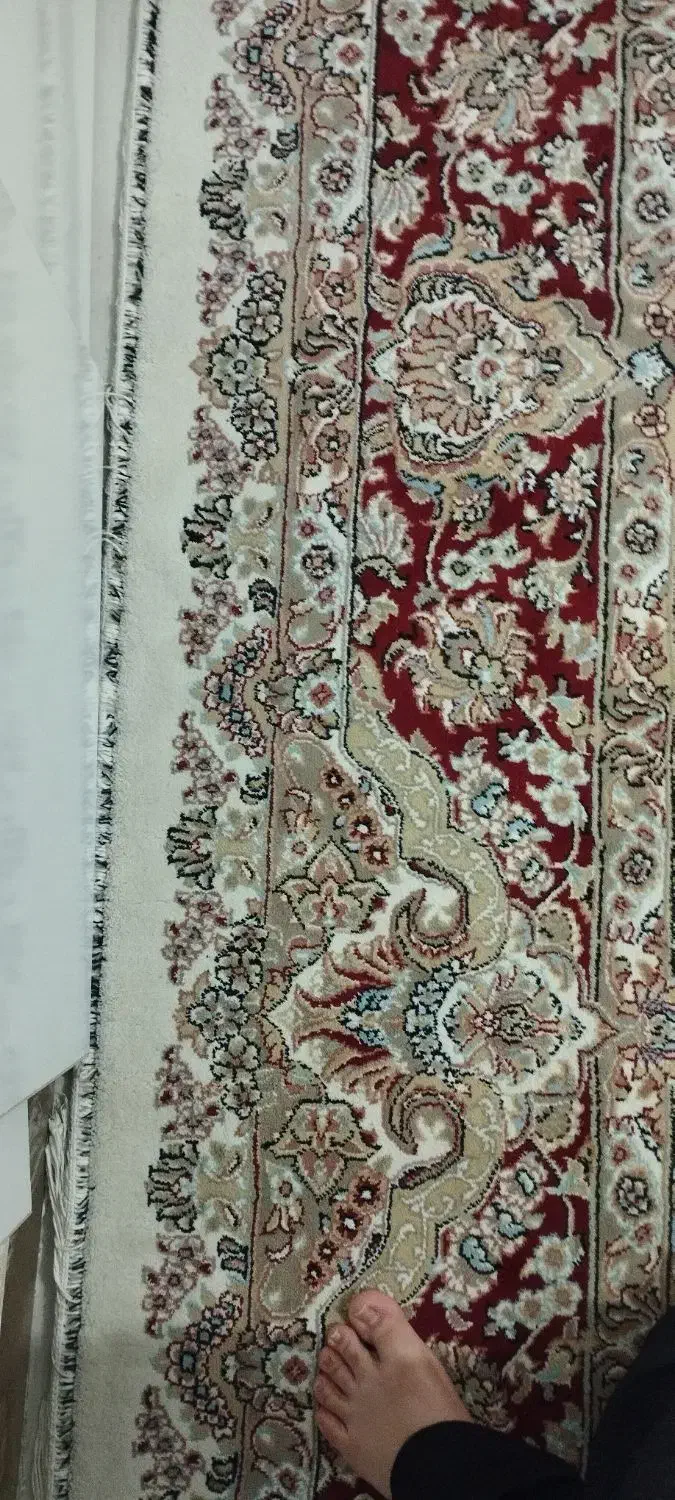 فرش12متری|فرش|ایلام, |دیوار