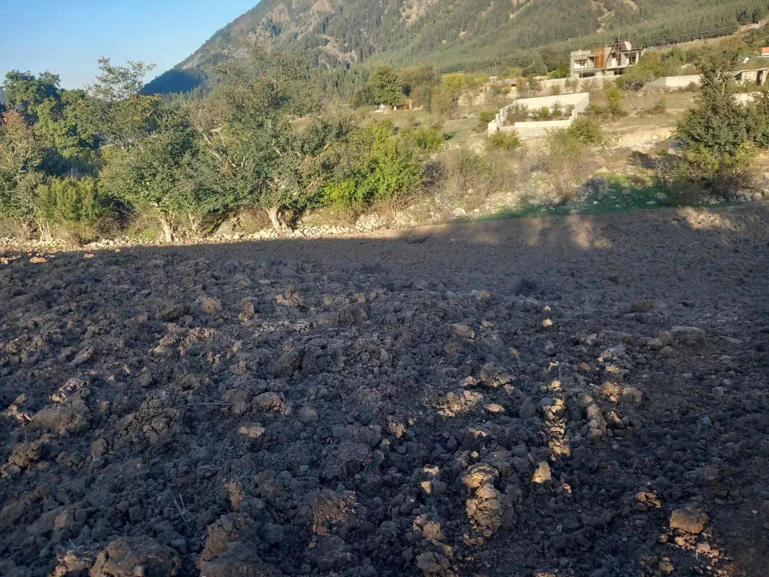 زمین کشاورزی|فروش زمین و ملک کلنگی|رامیان, |دیوار