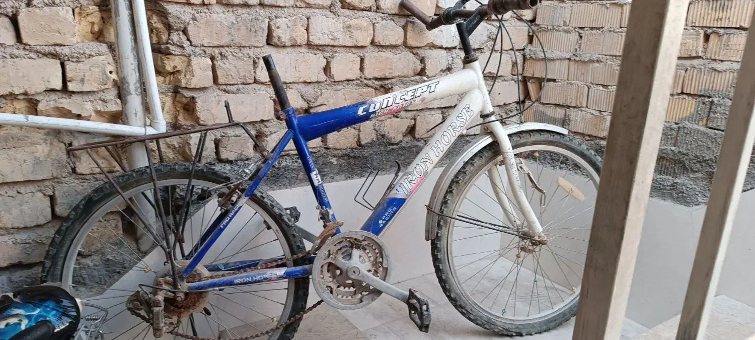 دوچرخه ۲۴|دوچرخه، اسکیت، اسکوتر|مرودشت, علیآباد|دیوار