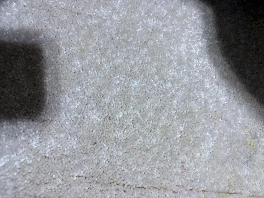 پالاز موکت|موکت|تبریز, |دیوار