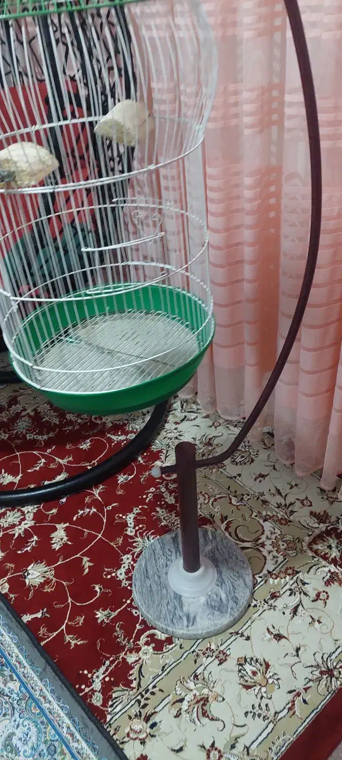 قفس پرنده|لوازم جانبی حیوانات|کرمانشاه, |دیوار