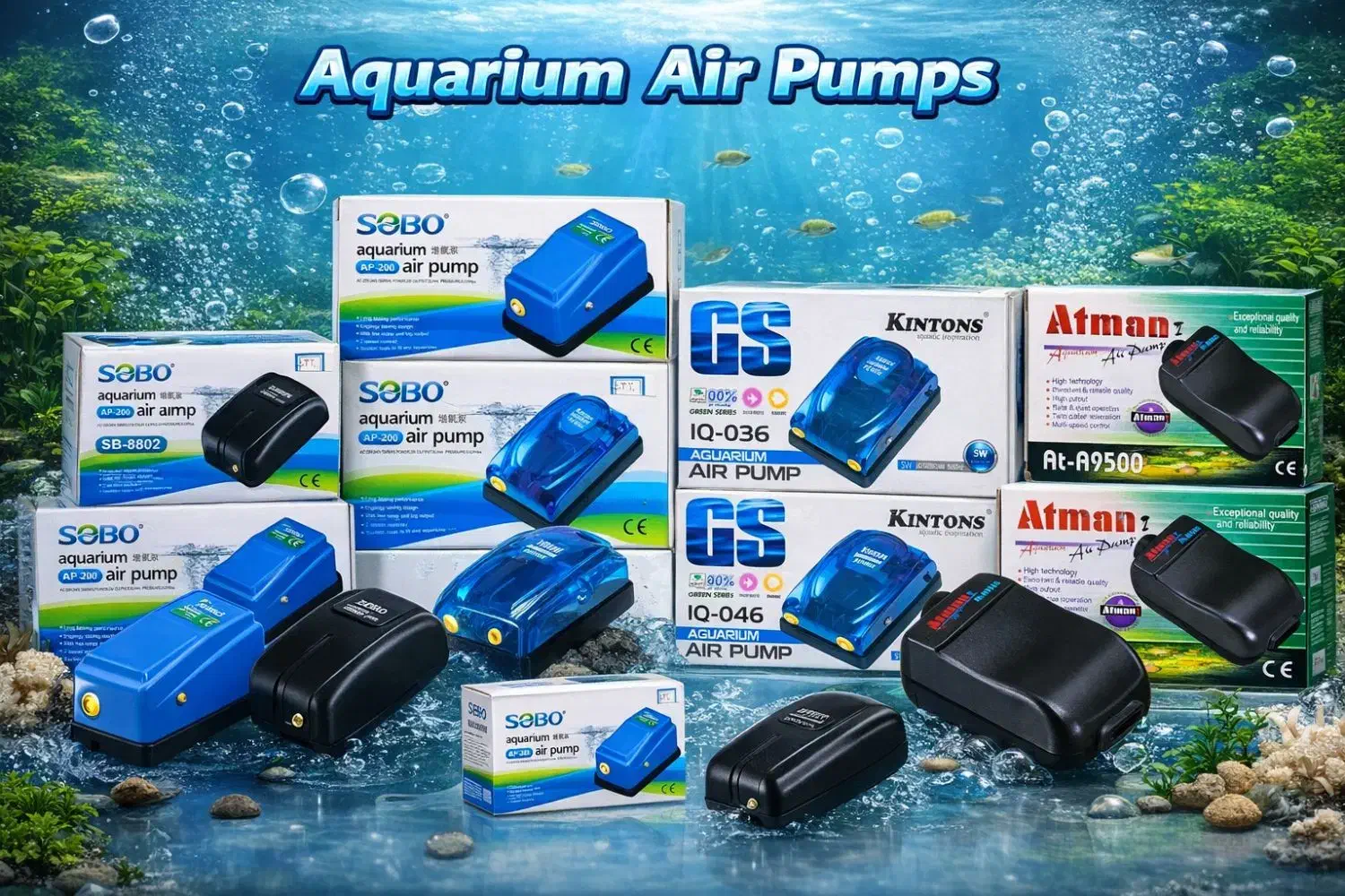 تخفیفات ویژه شب یلدا ماهی و لوازم|ماهی|مشهد, انقلاب|دیوار