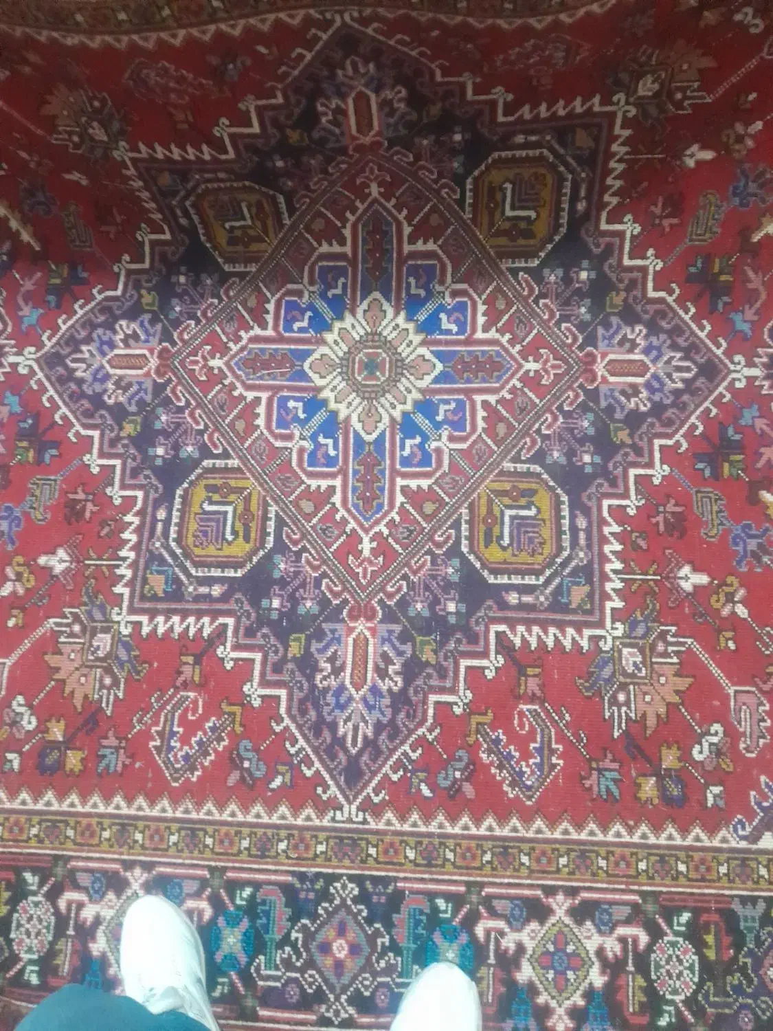 فروش فوری یک جفت فرش دستبافت ۶متری هریس|فرش|اهر, |دیوار