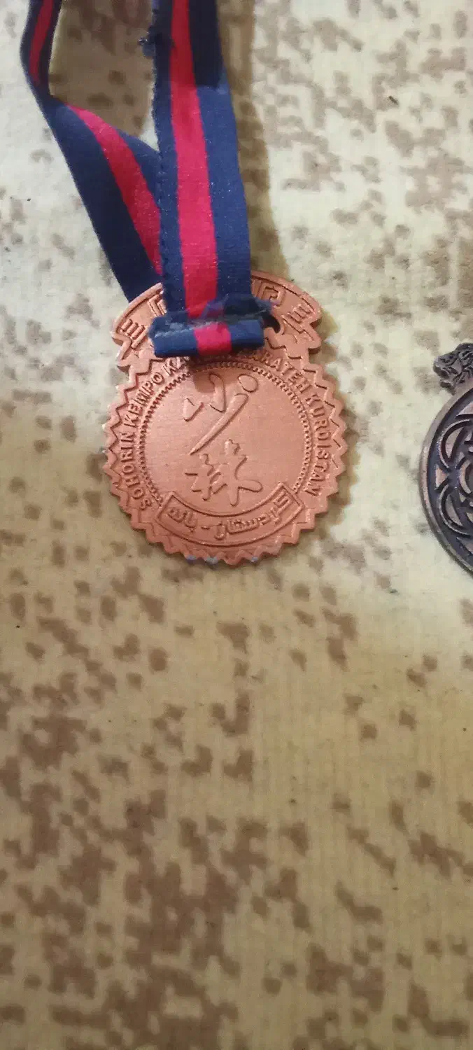 مدال برنز کاراته|تجهیزات ورزشی|بانه, |دیوار