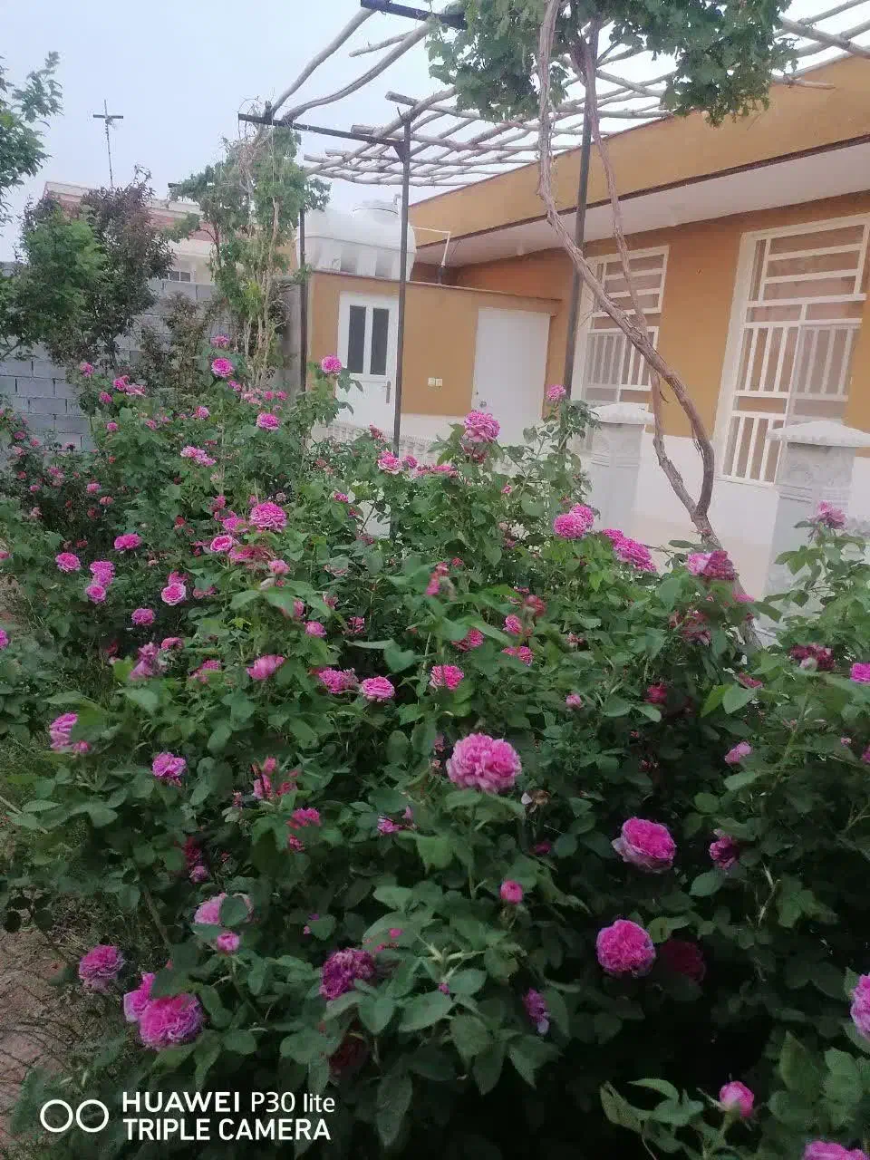 فروش باغ ویلایی 3600متر|فروش خانه و ویلا|ابرکوه, |دیوار