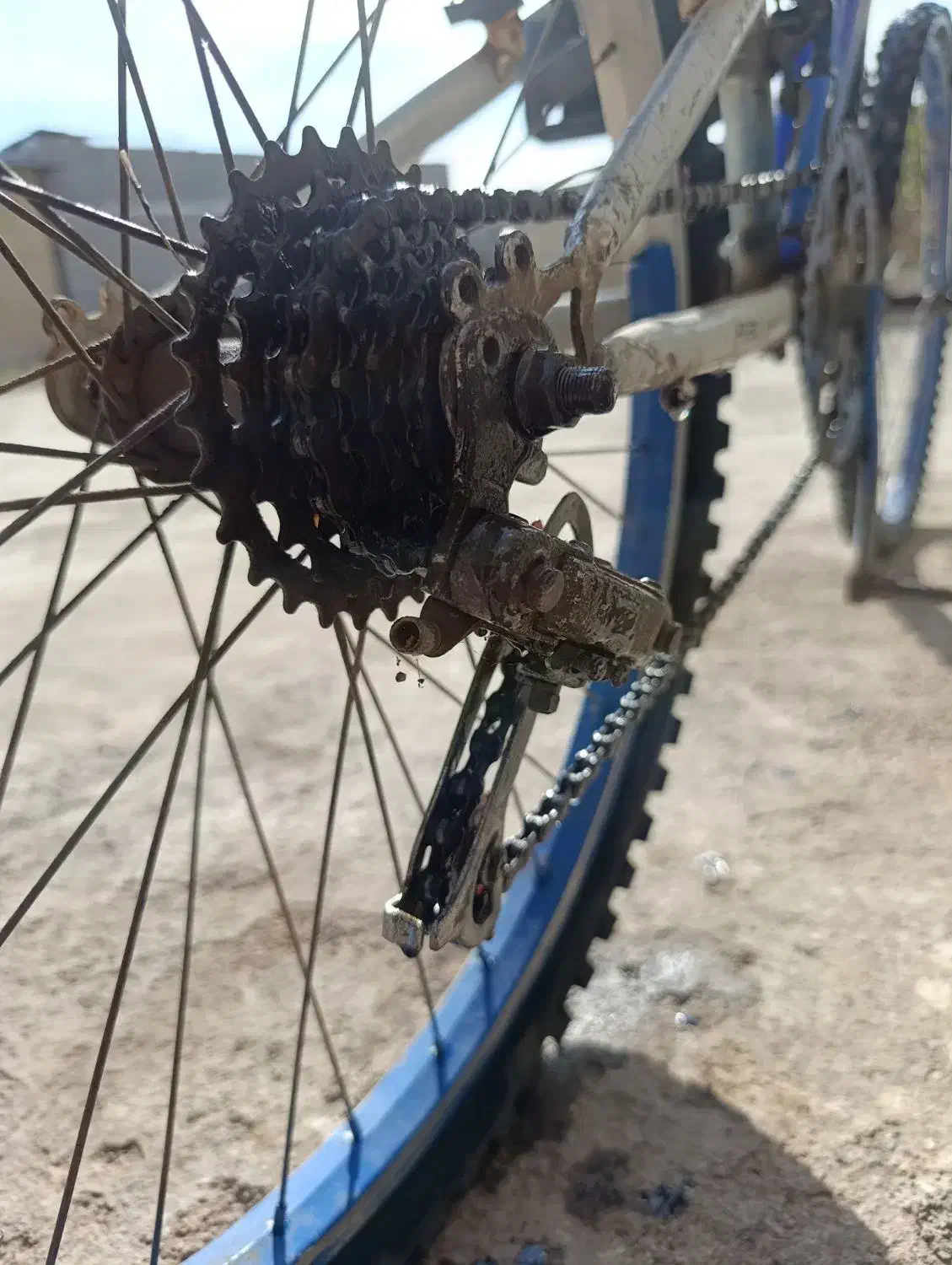 دوچرخه|دوچرخه، اسکیت، اسکوتر|کازرون, |دیوار