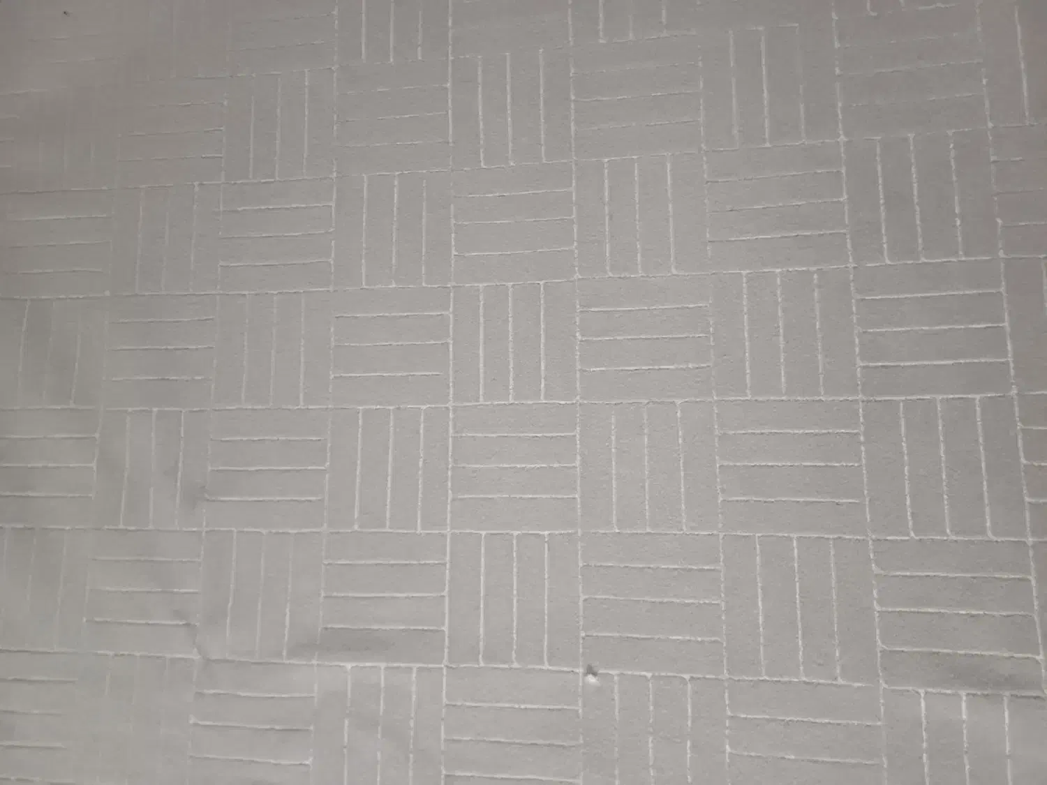 موکت در حدنو|موکت|نیشابور, شهرک فیروزه|دیوار