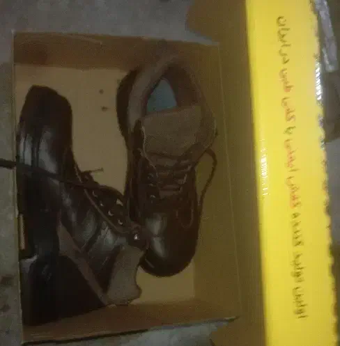 کفش|کیف، کفش، کمربند|دوگنبدان, |دیوار