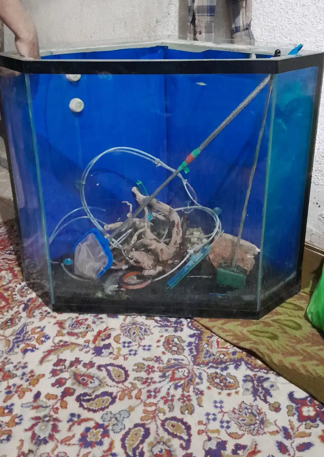 آکواریوم تصفیه دار|ماهی|مشهد, شهید معقول|دیوار