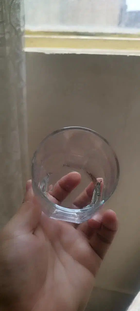 استکان|ظروف سرو و پذیرایی|مشهد, گلبرگ|دیوار