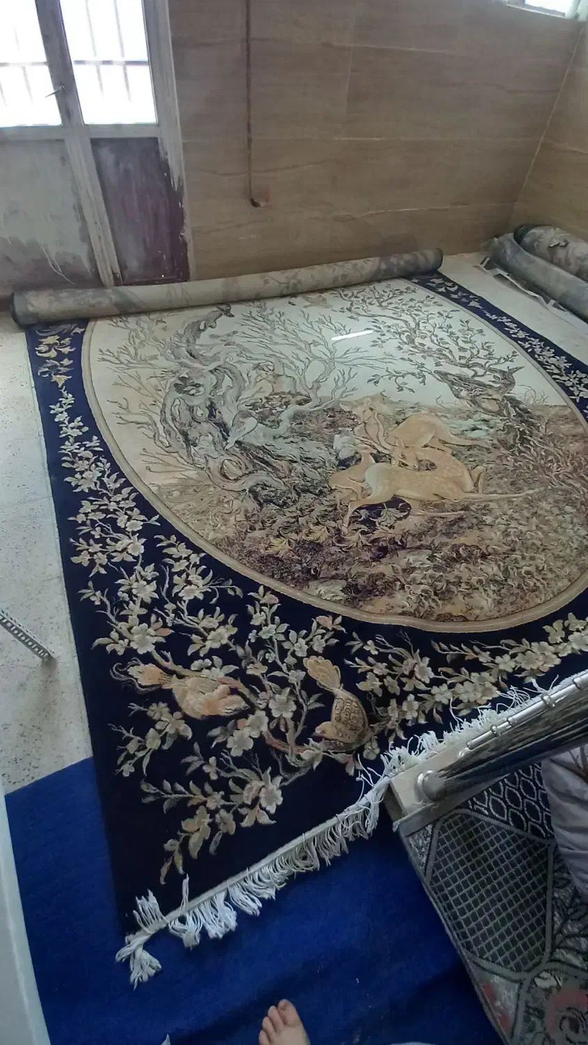 ۳عددفرش ۱۲متری استفاده شده.۲۰میلیون|فرش|تاکستان, |دیوار