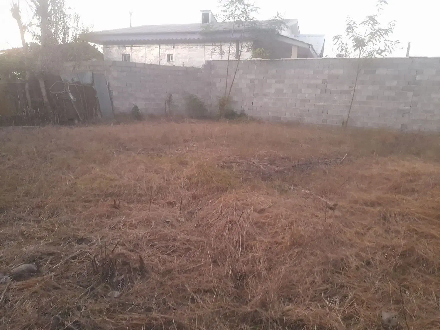 زمین ۲۴۵متری کاملامسکونی زیر قیمت منطقه فوری|فروش زمین و ملک کلنگی|خمام, |دیوار