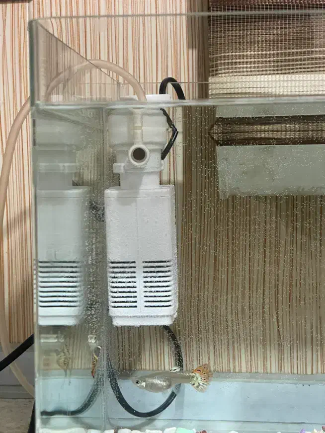 فیلتر تصفیه و هوا|ماهی|نوشین شهر, |دیوار