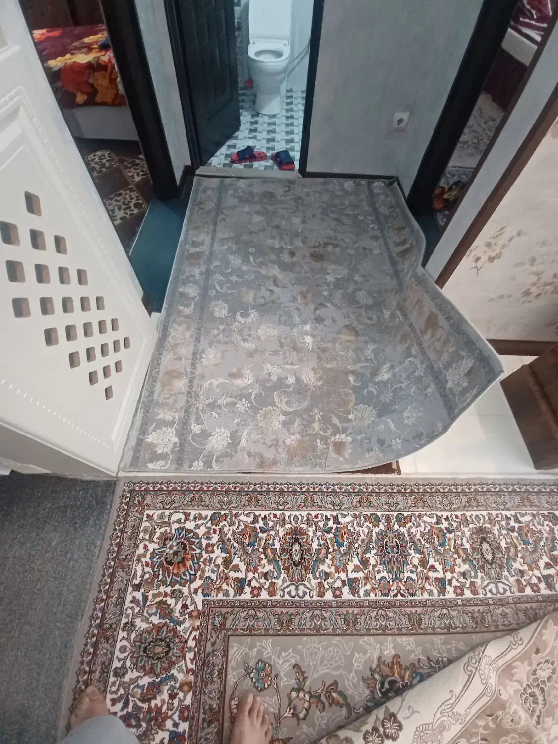 فرش|فرش|شیراز, تندگویان|دیوار