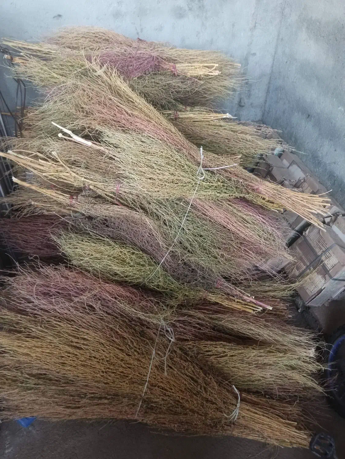 جارو کردی|لوازم نظافت|صحنه, |دیوار