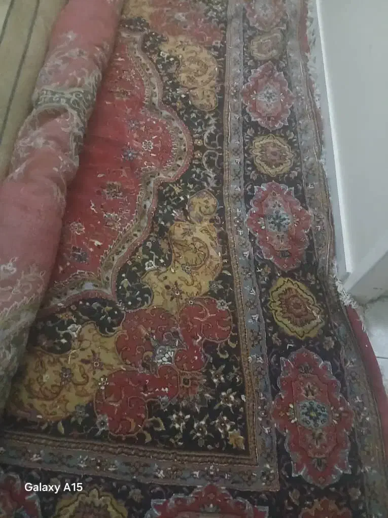 چند قالی برای باغ به فروش می‌رسد|فرش|شیراز, مسلم|دیوار