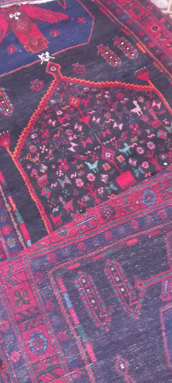 قالی قدیمی|فرش|سنندج, |دیوار