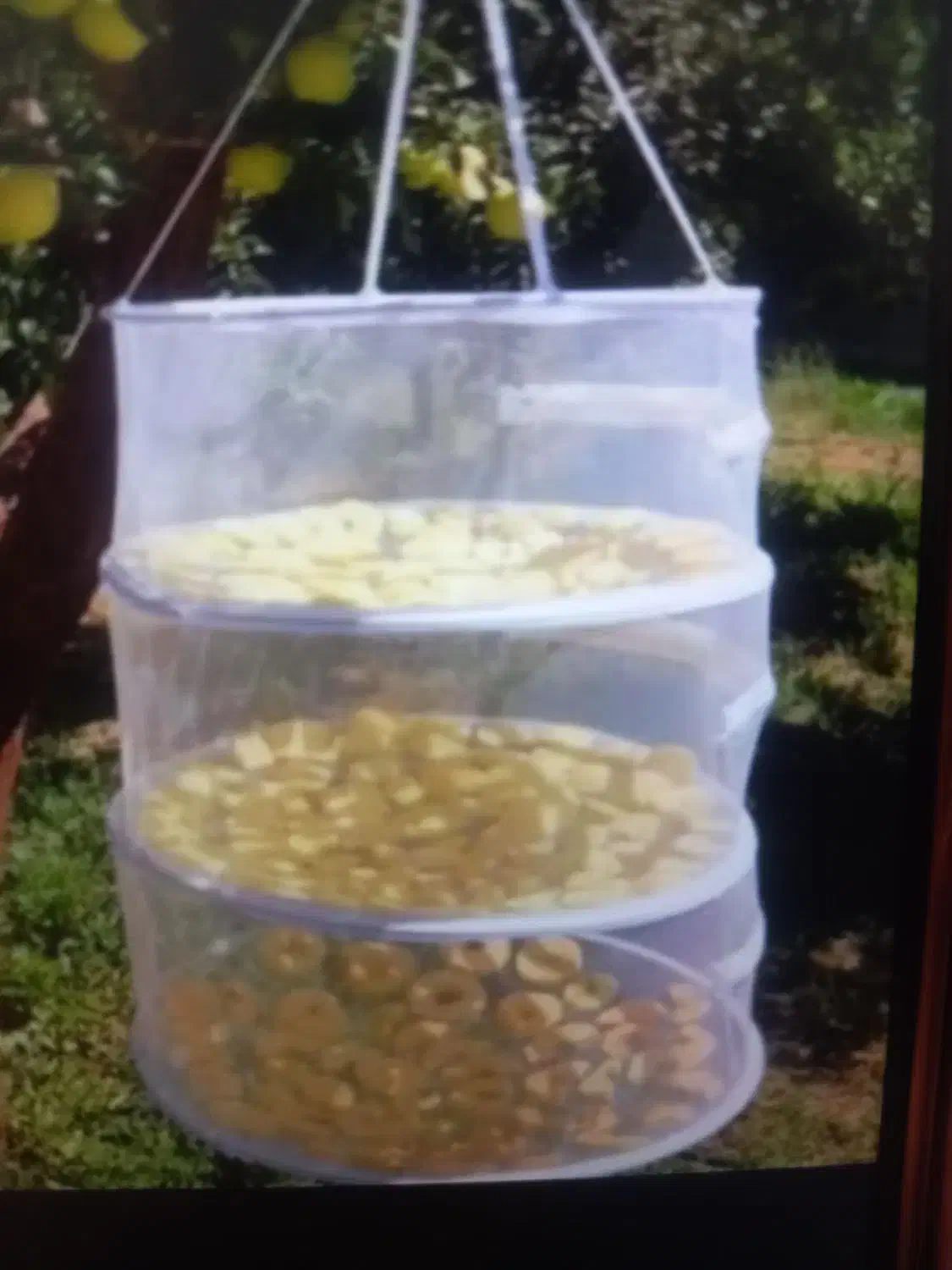 توری میوه خشک کن|ظروف نگهدارنده، پلاستیکی، یکبارمصرف|دیواندره, |دیوار