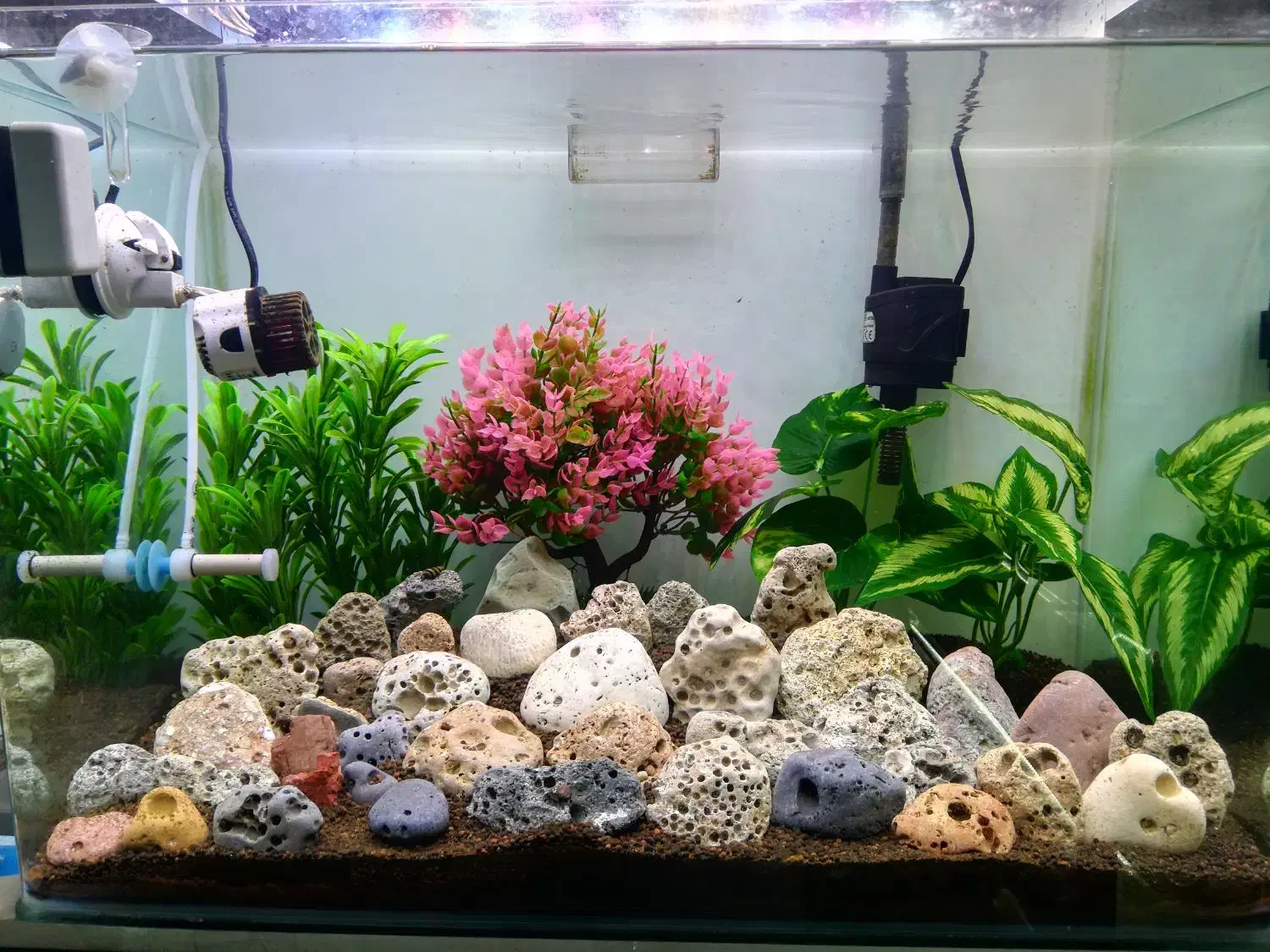 آکواریوم خلیج فارس|ماهی|ملایر, |دیوار