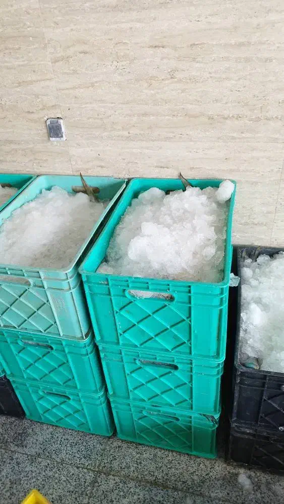 سبد 40 کیلویی ماهی ( سبد فلفل )|عمده‌فروشی|پاکدشت, پاکدشت (مامازند)|دیوار