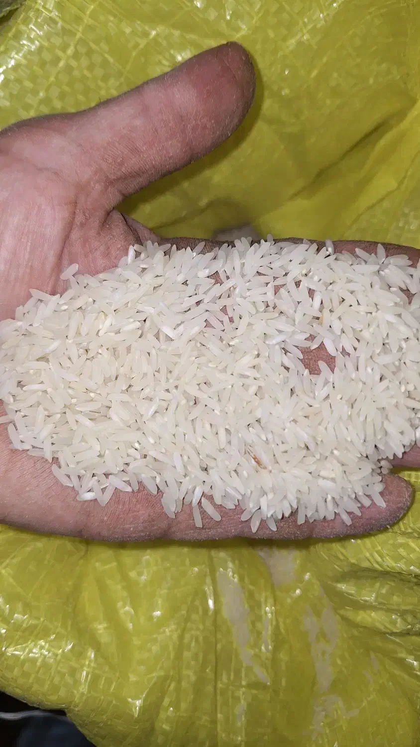 برنج هاشمی|خوردنی و آشامیدنی|سنگر, |دیوار