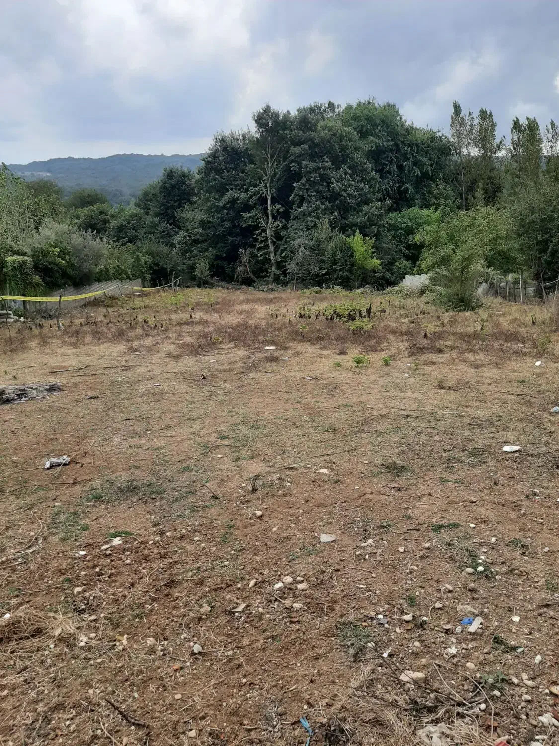 زمین با کاربری مسکونی|فروش زمین و ملک کلنگی|پایین هولار, |دیوار