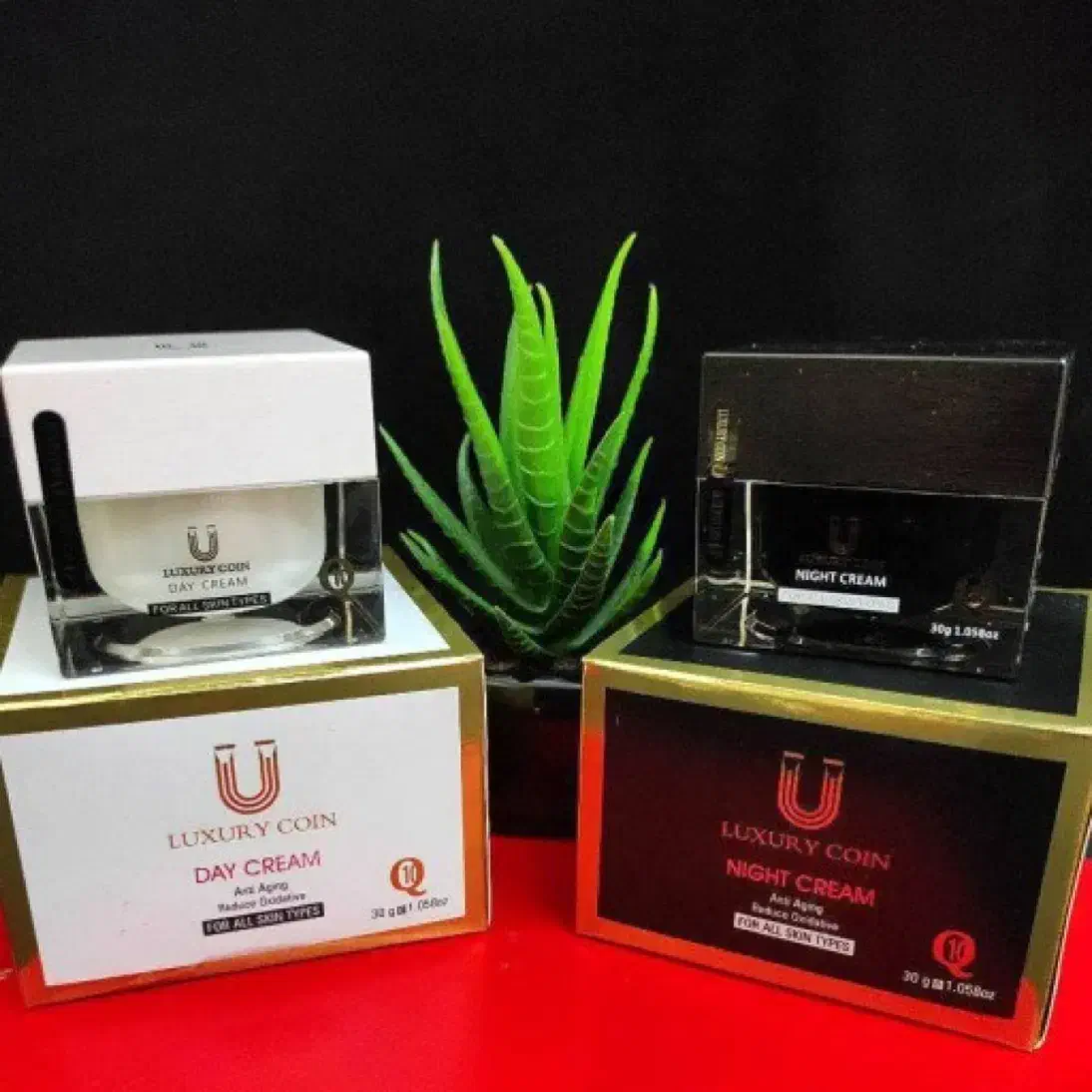 کرم روز و شب لاکچری کوین اصل|آرایشی، بهداشتی، درمانی|مشهد, کلاهدوز|دیوار