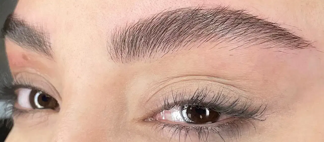 مدل میکروبلیدینگ ابرو رایگان|خدمات آرایشگری و زیبایی|تهران, گیشا|دیوار