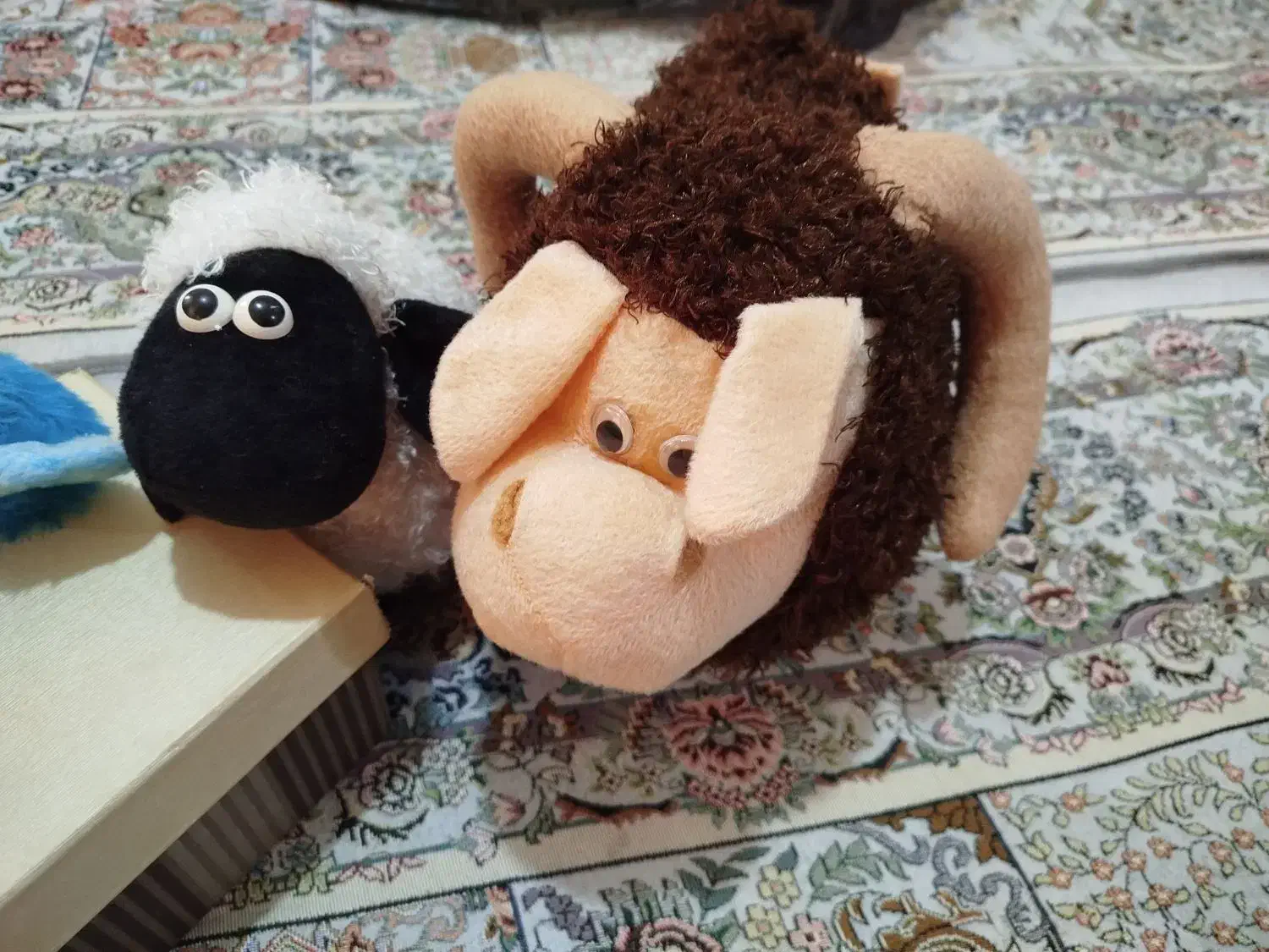 عروسک های نو|اسباب‌‌بازی|بناب, |دیوار