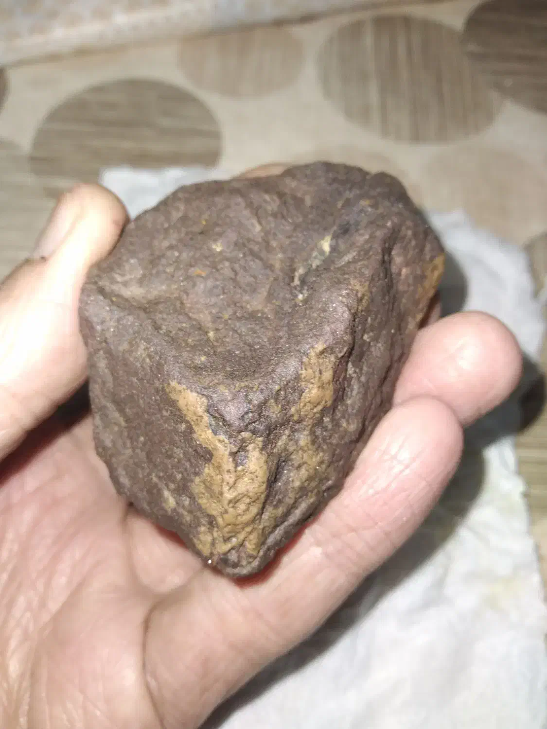 شهاب سنگ مریخ ال۵|جواهرات|گلبهار, شهر جدید گلبهار|دیوار