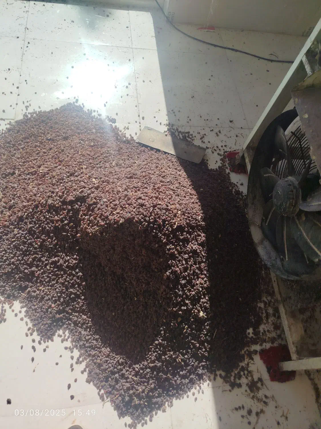 کشمش|خوردنی و آشامیدنی|اراک, |دیوار