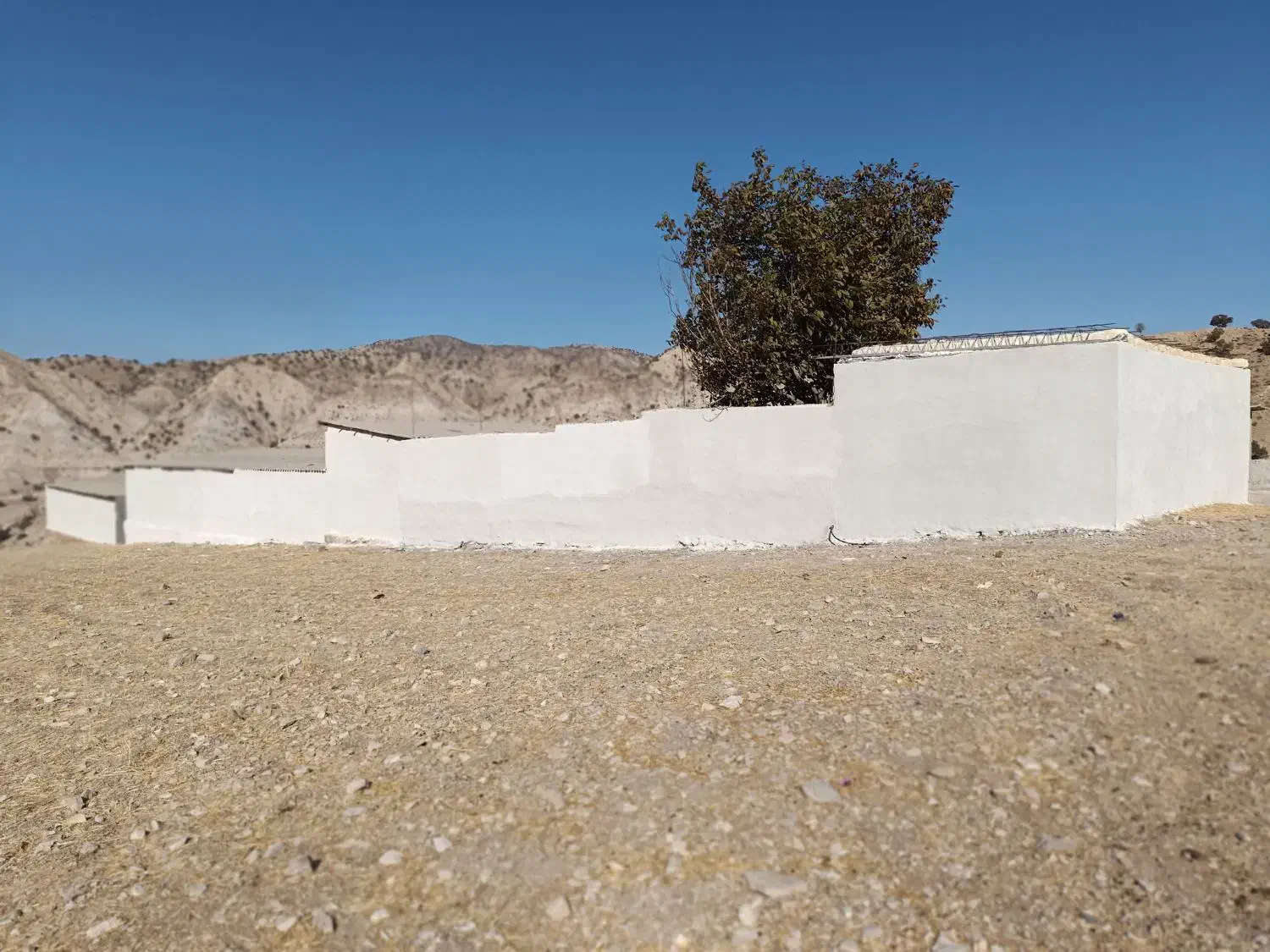 گاوداری قابلیت جذب وام میلیاردی|فروش خانه و ویلا|صالح آباد (ایلام), |دیوار