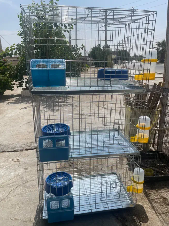 قفس کبوتری|لوازم جانبی حیوانات|برازجان, |دیوار