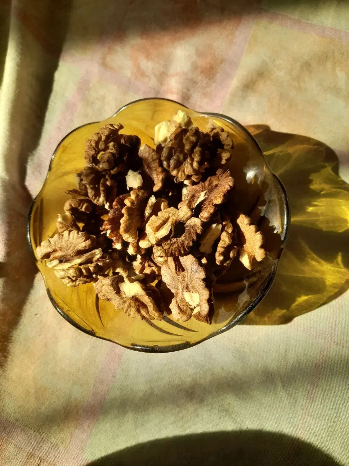 گردو درجه یک و دو|خوردنی و آشامیدنی|زند, |دیوار