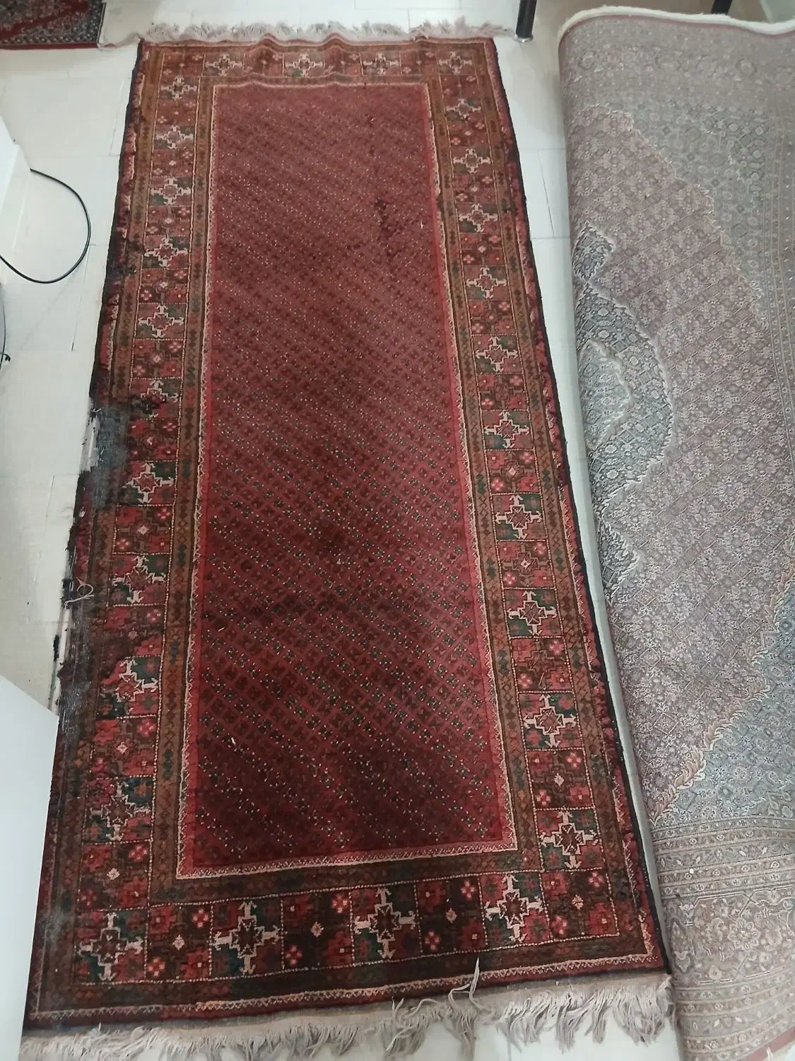 فرش۳متری|فرش|گرگان, |دیوار