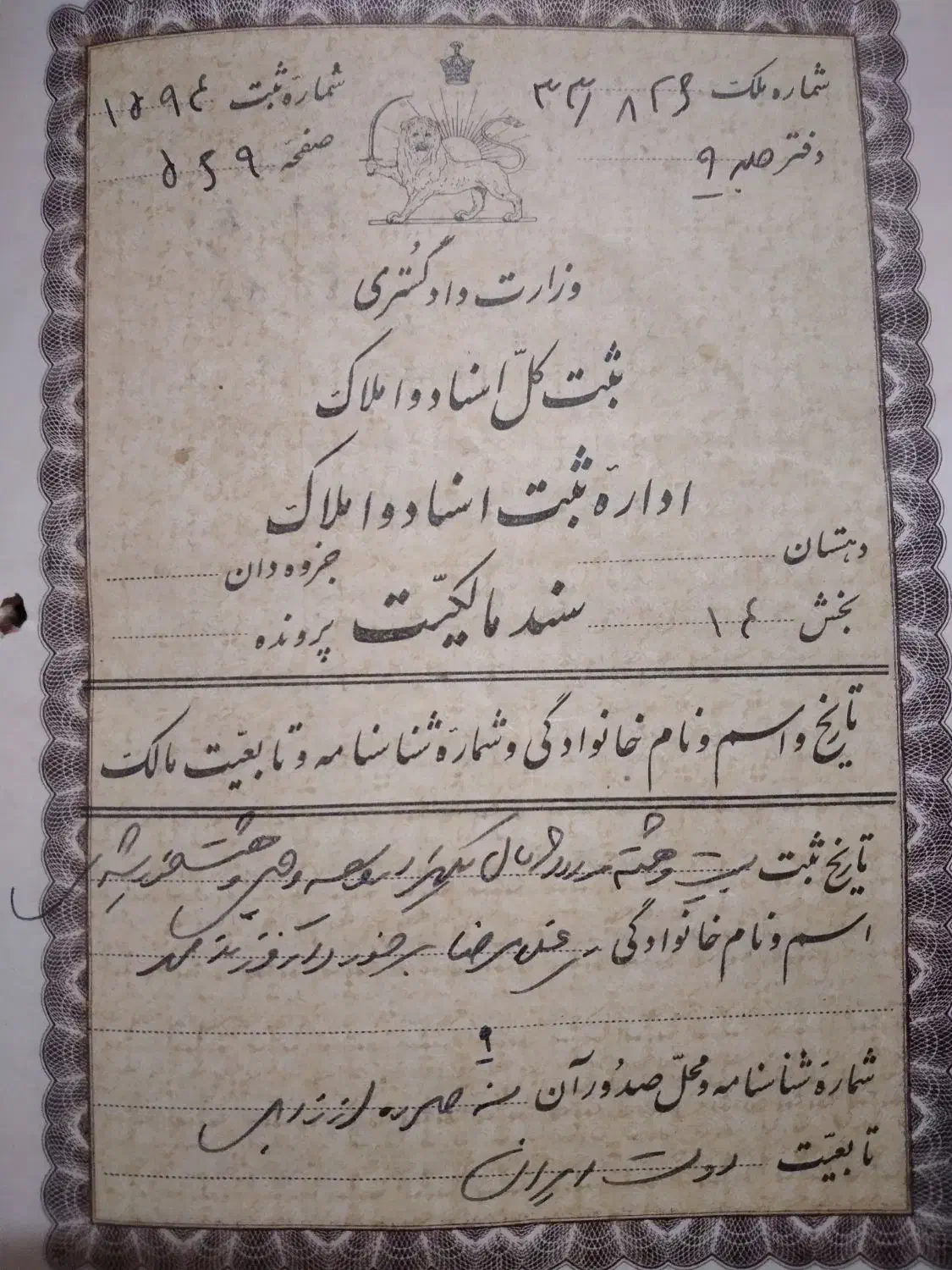 زمین کشاورزی درجه یک ده هکتار فروش فوری|فروش دفتر صنعتی، کشاورزی، تجاری|گنبد کاووس, |دیوار