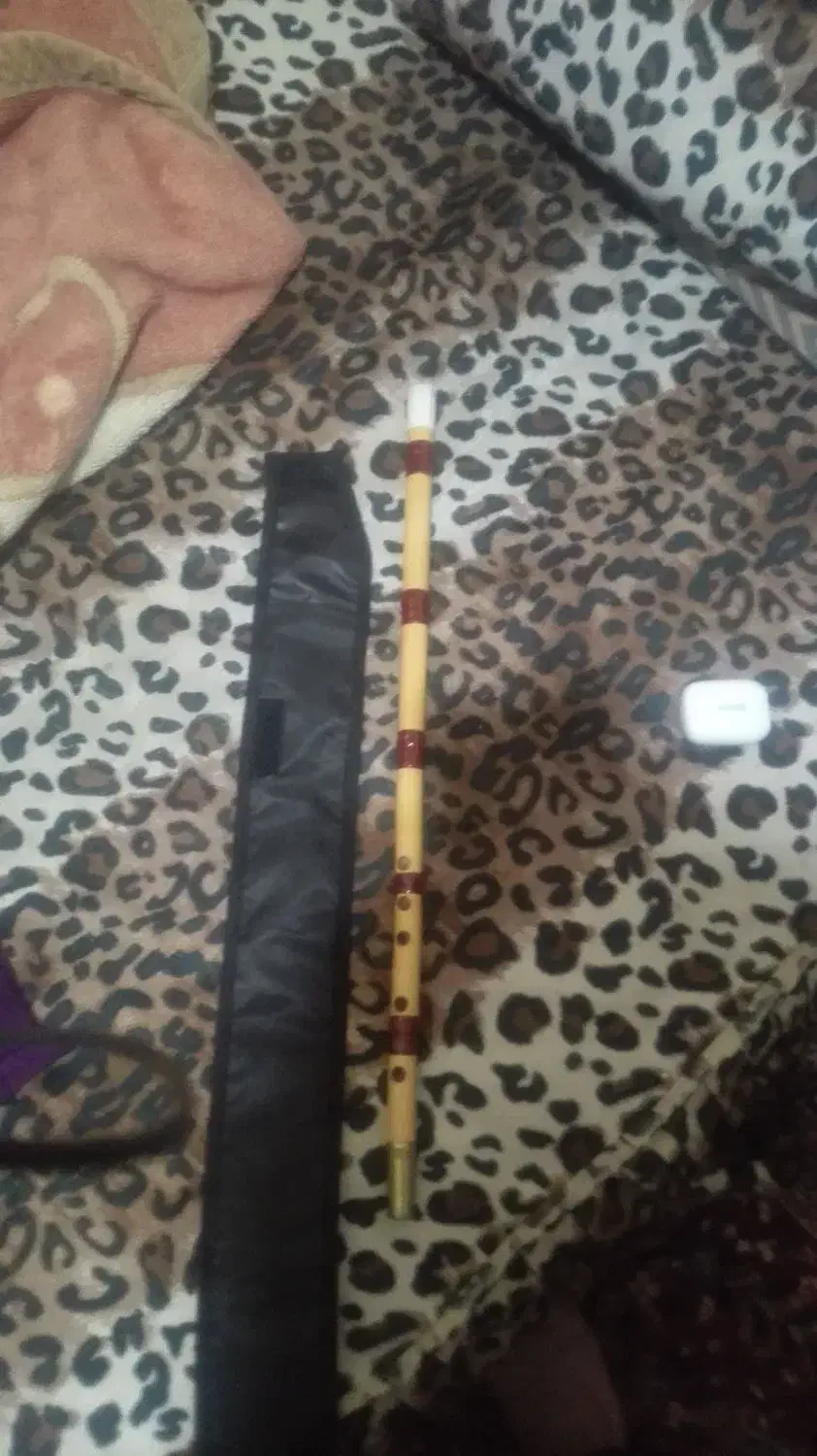 ساز نی|سازهای بادی|اهواز, گلستان|دیوار