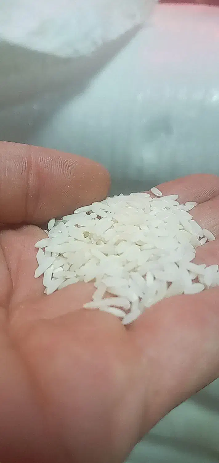 برنج اصل ممان میانه|خوردنی و آشامیدنی|تبریز, |دیوار