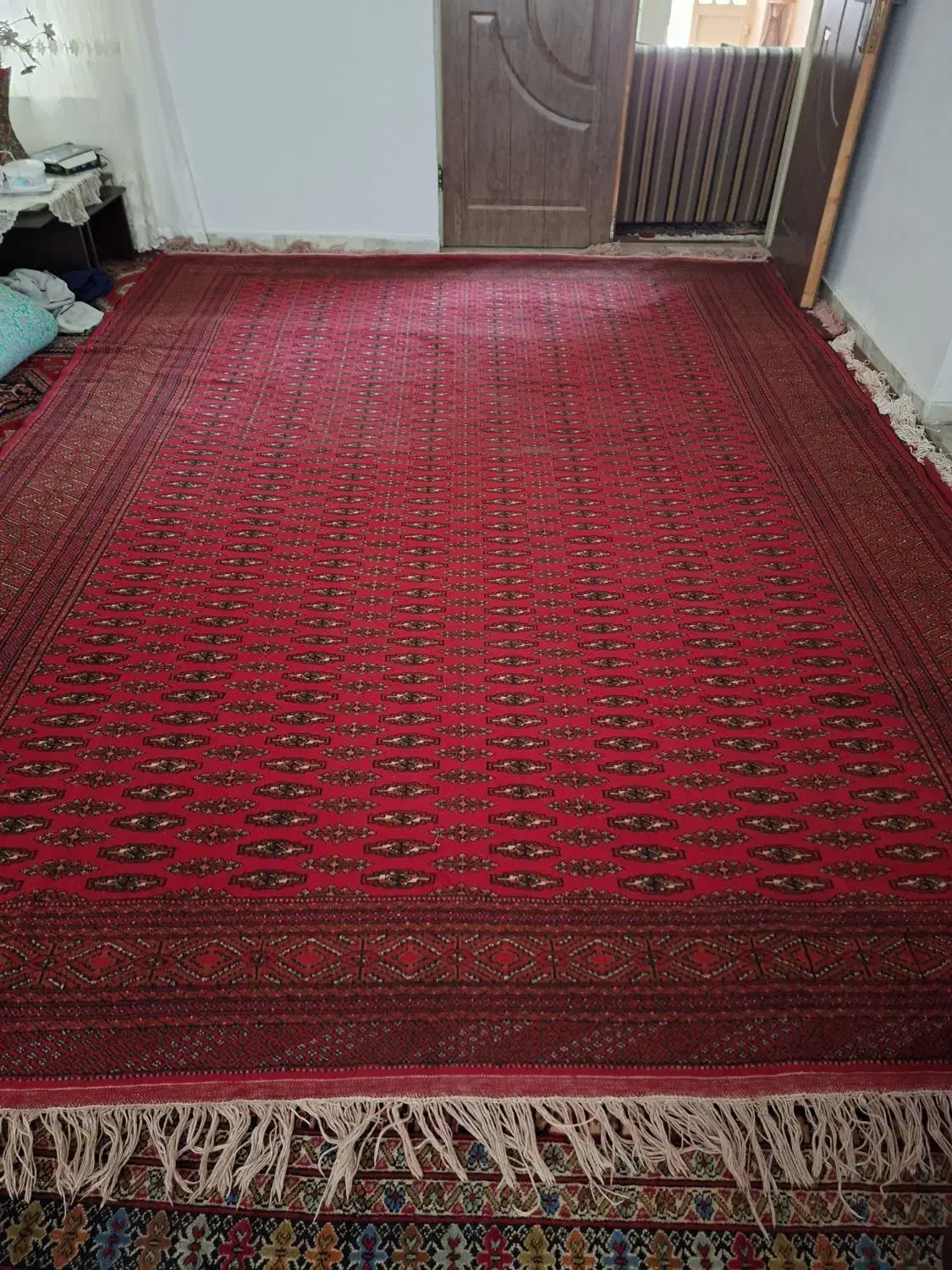 فرش دستباف ترکمنی|فرش|گنبد کاووس, |دیوار