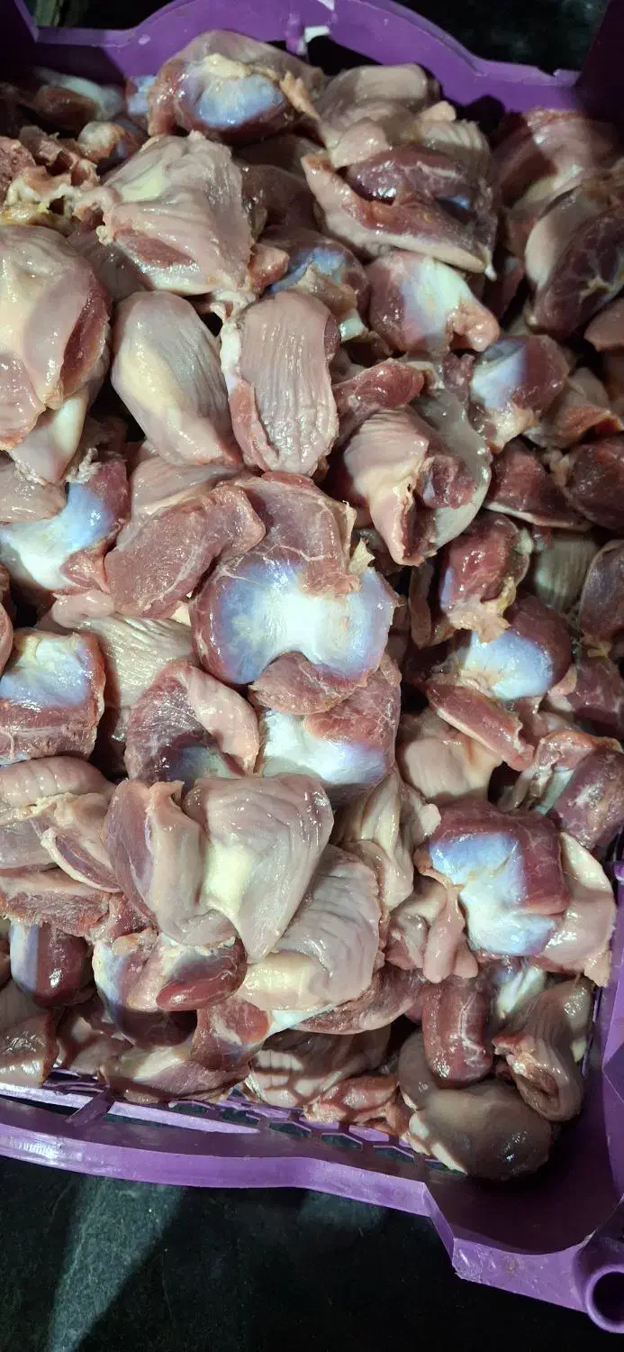 سنگدان|خوردنی و آشامیدنی|اهواز, عین ۲|دیوار