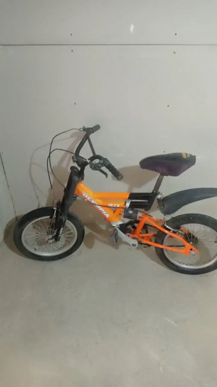 دوچرخه سایز 20|دوچرخه، اسکیت، اسکوتر|اصفهان, باتون|دیوار