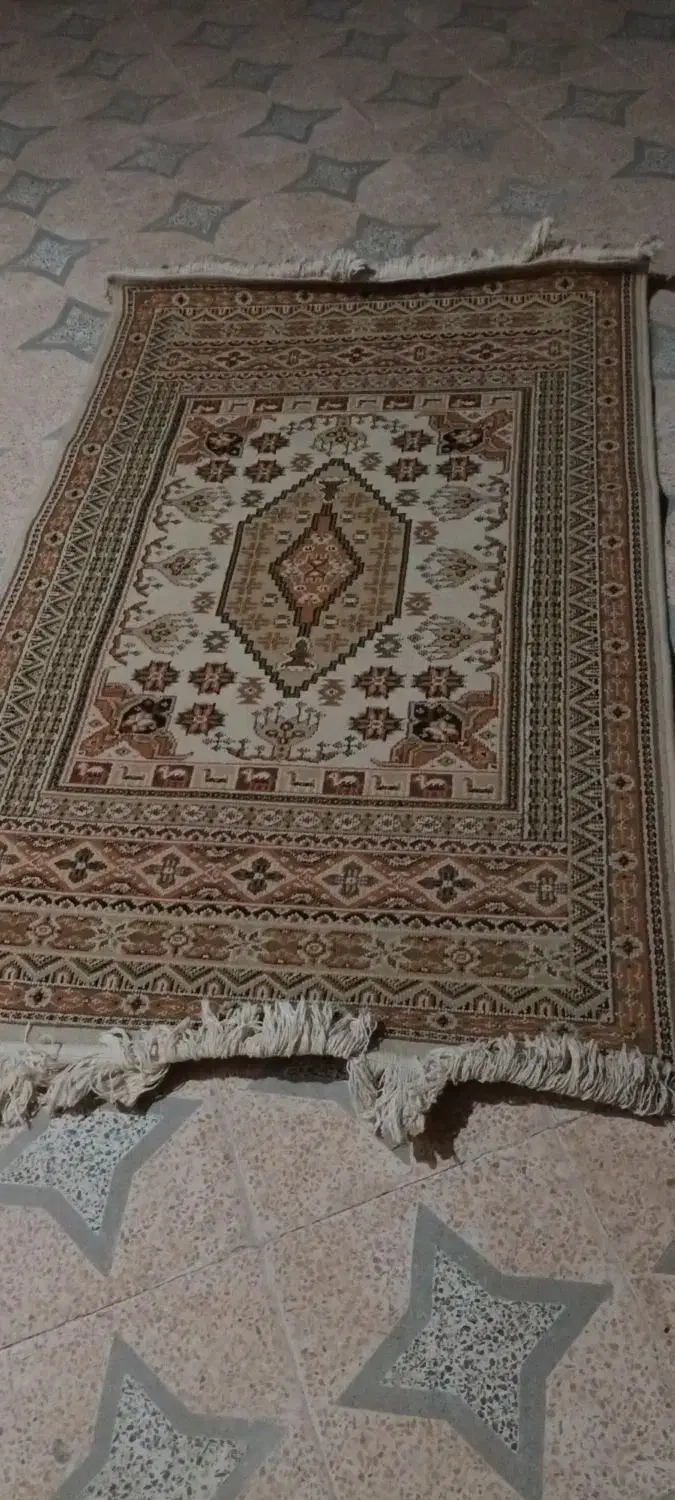 ۲ عدد فرش سالم سالم   و ۲و ۱نیم متری|فرش|اهواز, بهارستان|دیوار