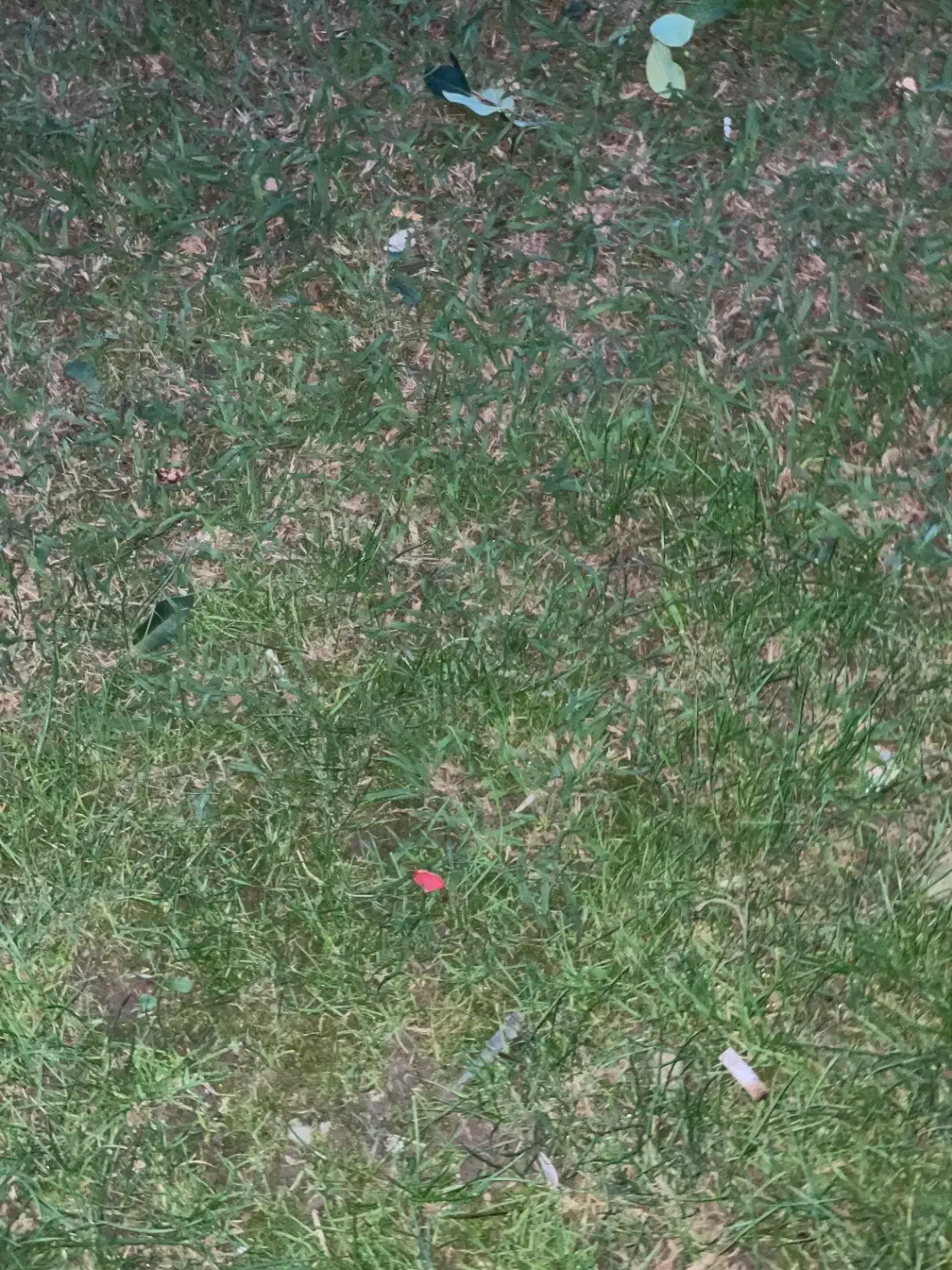 زمین|فروش زمین و ملک کلنگی|سلمان‌شهر, |دیوار