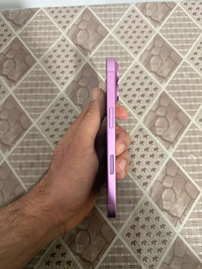 ایفون ۱۶ ریجستر شده|موبایل|اردبیل, |دیوار