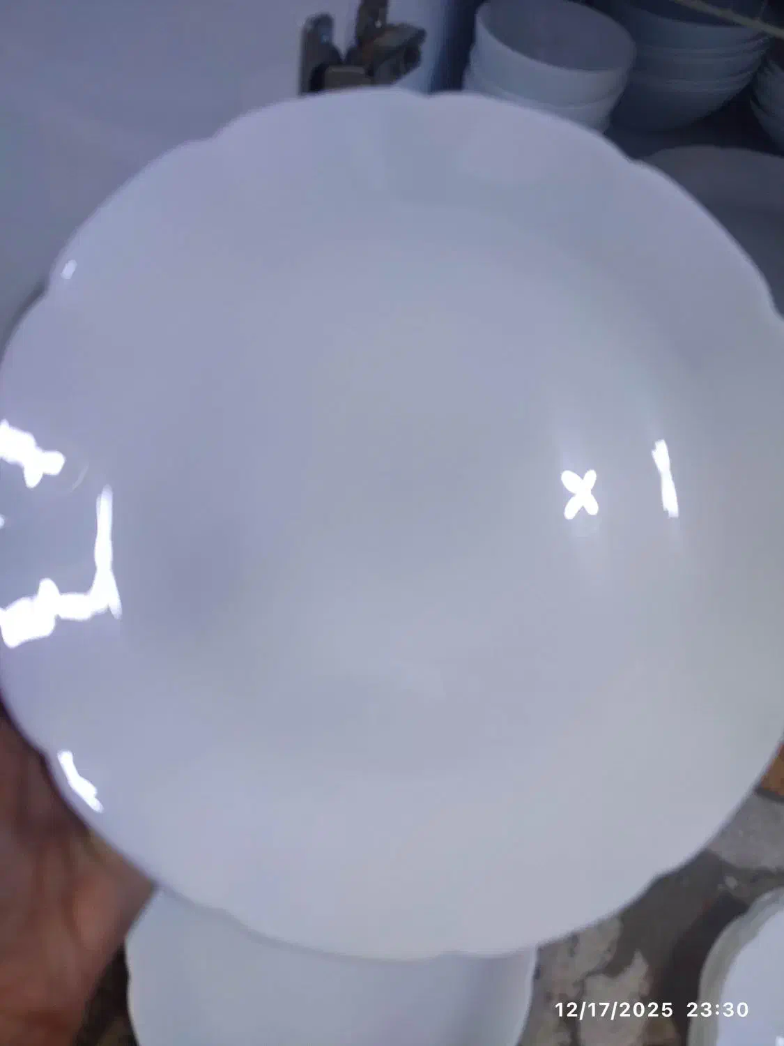 آرکوپال دینو نیلوفری|ظروف سرو و پذیرایی|اسلام‌شهر, زرافشان|دیوار