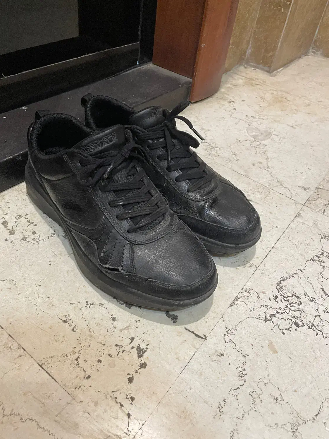 کفش اسکیچرز|کیف، کفش، کمربند|تهران, دروس|دیوار