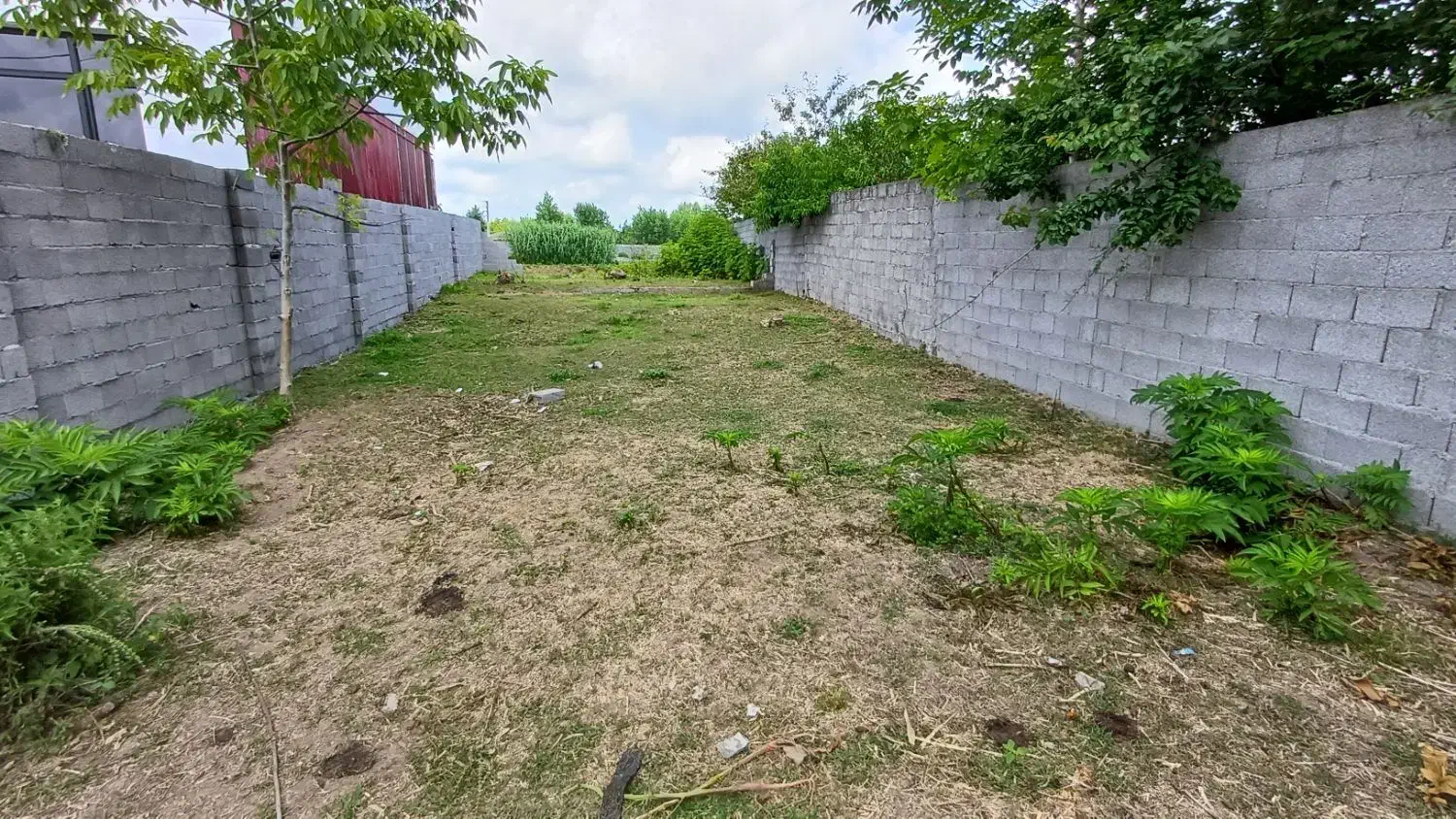 زمین۲۵۰متر مسکونی با استعلامات کامل دورمحصور|فروش زمین و ملک کلنگی|خشکبیجار, |دیوار