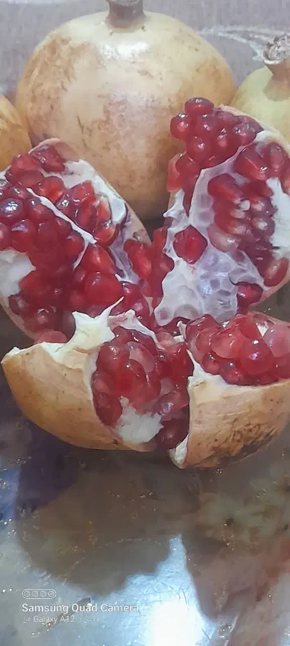 انار درجه یک و جون مخصوص یلدا|حراج|یزد, |دیوار