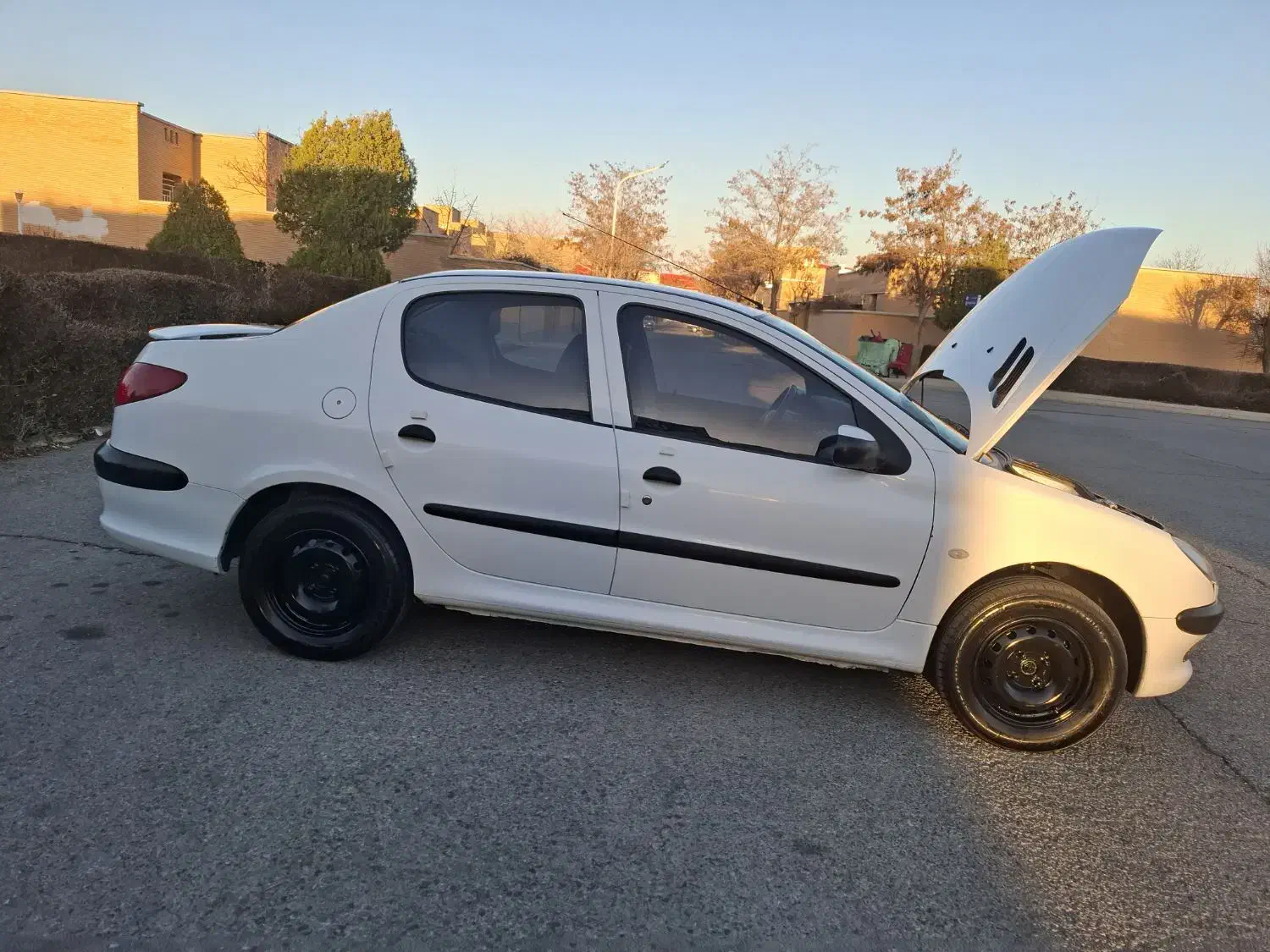 206sd مدل 99|خودرو سواری و وانت|مهاجران, |دیوار