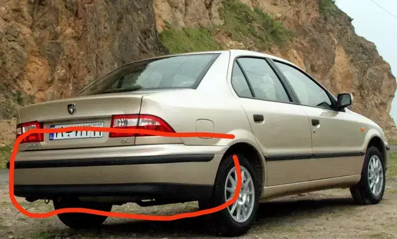 ماکت سمندپلاستیکی|پشتی|ایلام, |دیوار